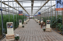 cera-una-volta-comitato4