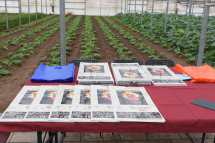 cera-una-volta-comitato5