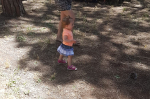 festa-estate-2019-11