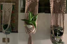 WhatsApp-Image-2023-07-19-at-15.48.58