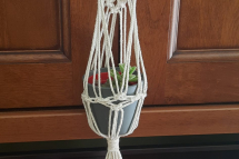 WhatsApp-Image-2023-07-19-at-15.48.59-1