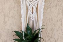 WhatsApp-Image-2023-07-19-at-15.49.00-1