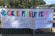 53643403_2421839724517576_2311099211665375232_n