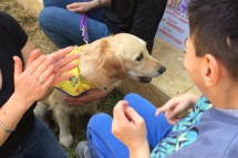 WhatsApp Image 2018-04-25 at 12.57.51 (1)