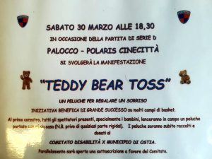 palocco polaris teddy bear toss